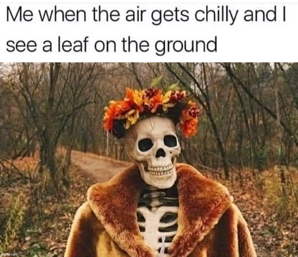 Chilly | image tagged in repost | made w/ Imgflip meme maker