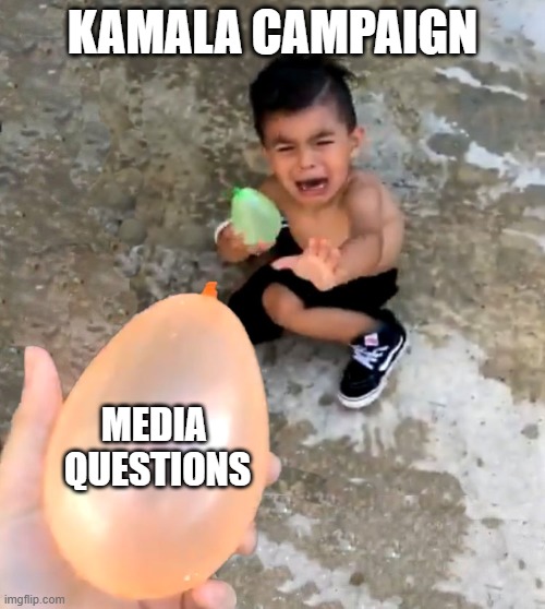 Fraudulent cowards | KAMALA CAMPAIGN; MEDIA 
QUESTIONS | image tagged in kamala harris,democrats,liberals,lefitsts,woke,tds | made w/ Imgflip meme maker