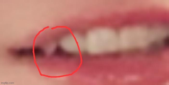 chat I got a little fang | made w/ Imgflip meme maker