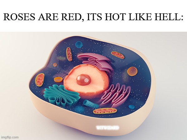 Cell | ROSES ARE RED, ITS HOT LIKE HELL:; WITWIZARD | image tagged in memes,funny,rhymes,cell | made w/ Imgflip meme maker