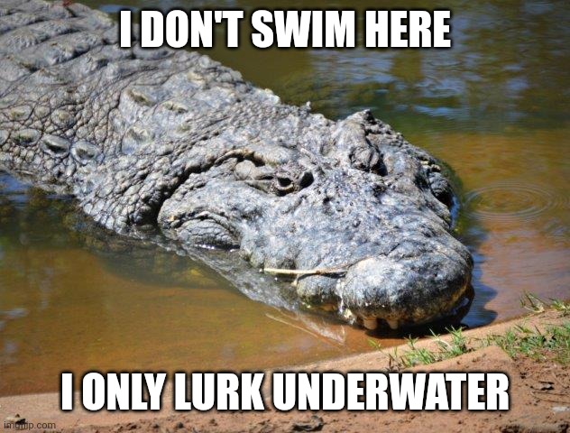 Crocodile | I DON'T SWIM HERE I ONLY LURK UNDERWATER | image tagged in crocodile | made w/ Imgflip meme maker