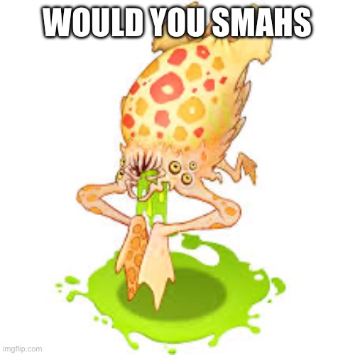 WOULD YOU SMAHS | made w/ Imgflip meme maker