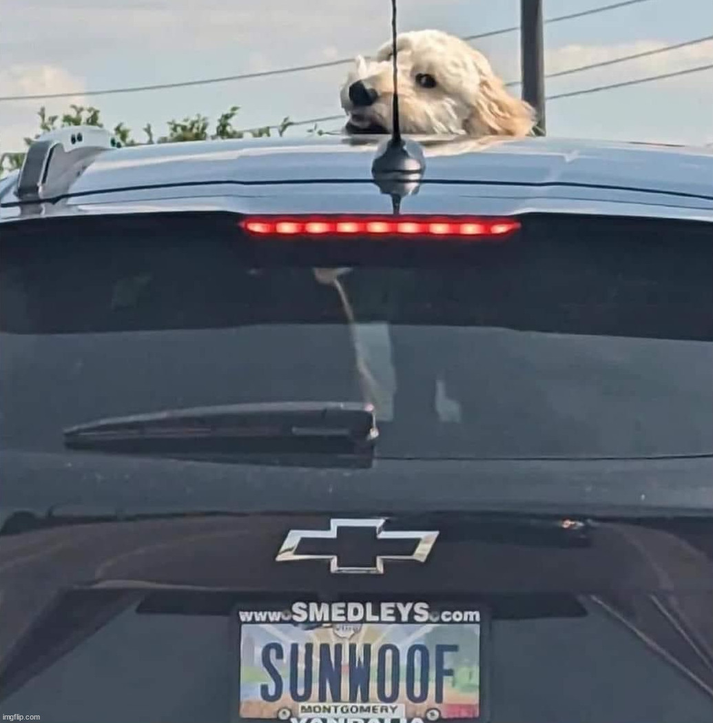 Sun roof | image tagged in eyeroll | made w/ Imgflip meme maker