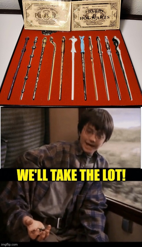 I'LL TAKE THE WHOLE SET | image tagged in harry potter,wands,magic,harry potter meme | made w/ Imgflip meme maker