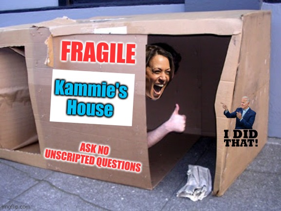 More suitable for her than the White House | FRAGILE; Kammie's
House; ASK NO
UNSCRIPTED QUESTIONS | image tagged in cardboard box house,memes,democrats,kamala harris,fragile | made w/ Imgflip meme maker