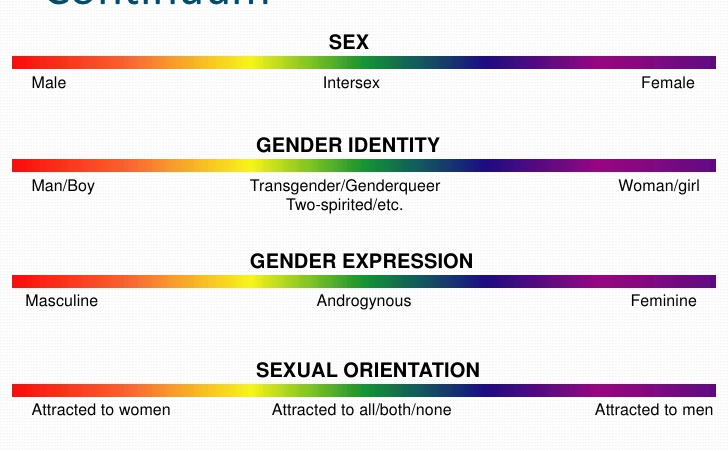 High Quality lgbtq spectrum Blank Meme Template