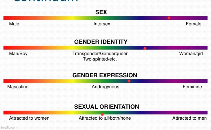 lgbtq spectrum | image tagged in lgbtq spectrum | made w/ Imgflip meme maker