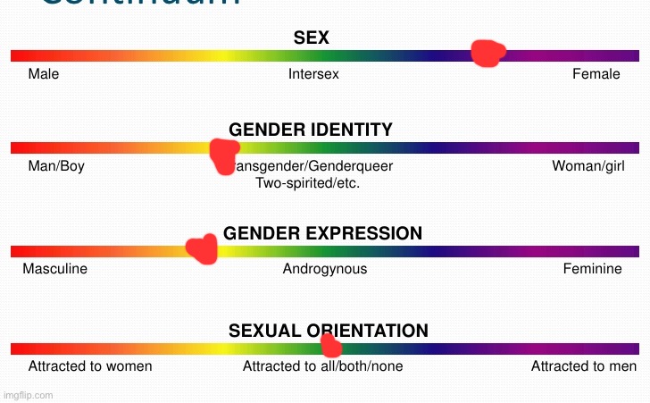 lgbtq spectrum | image tagged in lgbtq spectrum | made w/ Imgflip meme maker