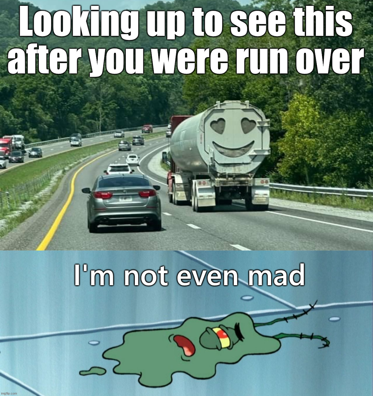 Did it with a smile | Looking up to see this after you were run over; I'm not even mad | image tagged in run over plankton,driving,smiling | made w/ Imgflip meme maker