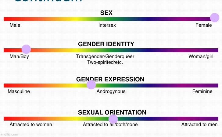 lgbtq spectrum | image tagged in lgbtq spectrum | made w/ Imgflip meme maker