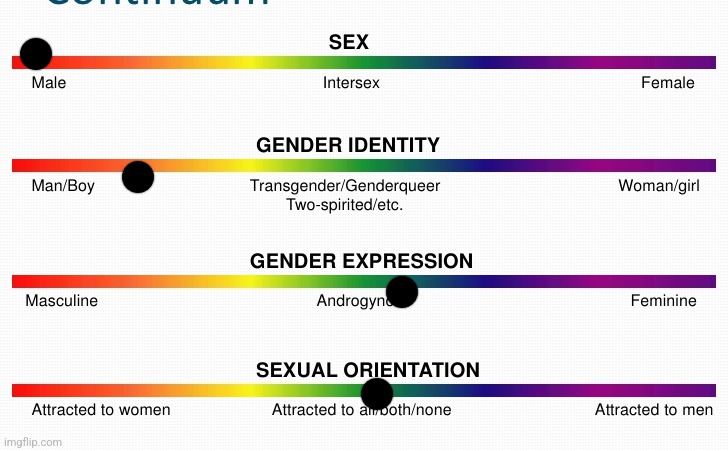 lgbtq spectrum | image tagged in lgbtq spectrum | made w/ Imgflip meme maker