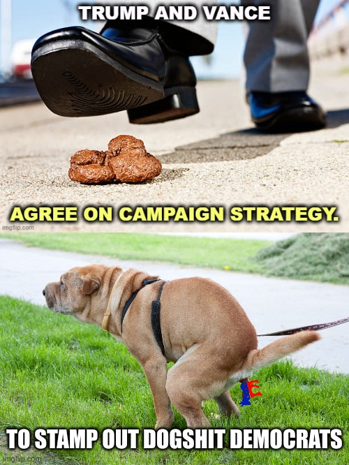 Top from that original stream on politics | TO STAMP OUT DOGSHIT DEMOCRATS | image tagged in dogshit | made w/ Imgflip meme maker