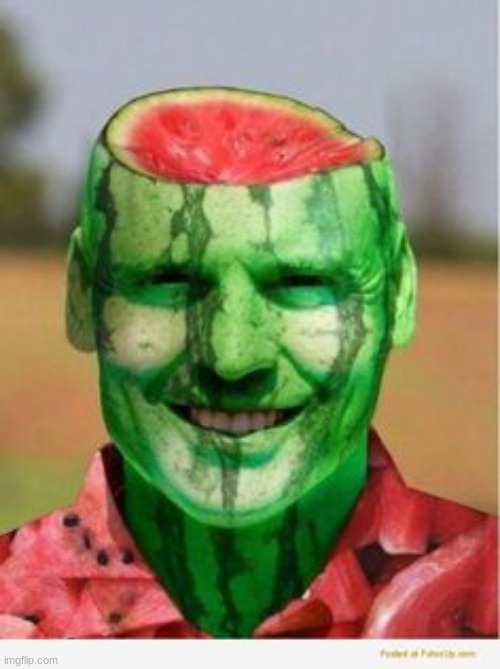 Watermelon Guy | image tagged in watermelon guy | made w/ Imgflip meme maker