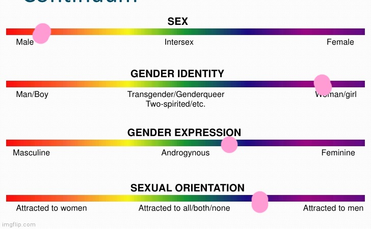 lgbtq spectrum | image tagged in lgbtq spectrum | made w/ Imgflip meme maker