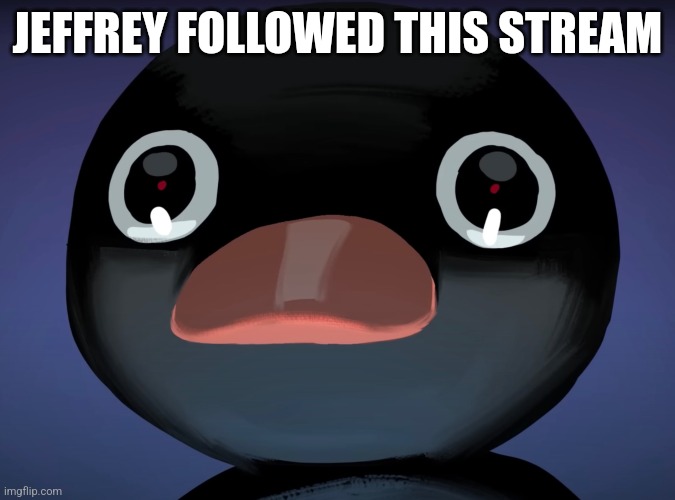 Pingu stare | JEFFREY FOLLOWED THIS STREAM | image tagged in pingu stare | made w/ Imgflip meme maker