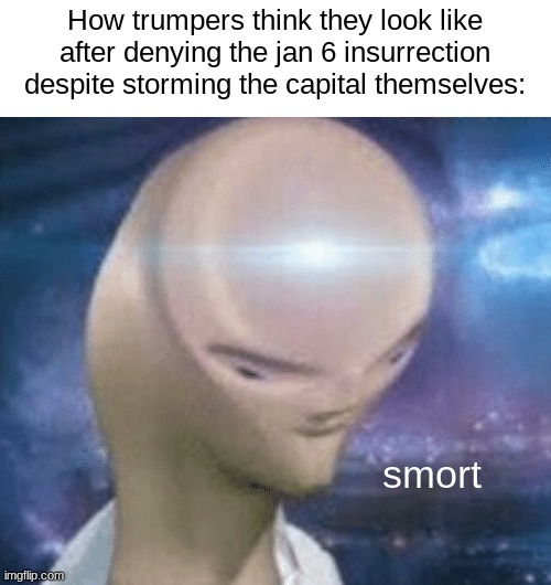 I am S M O R T | How trumpers think they look like after denying the jan 6 insurrection despite storming the capital themselves:; smort | image tagged in smort | made w/ Imgflip meme maker