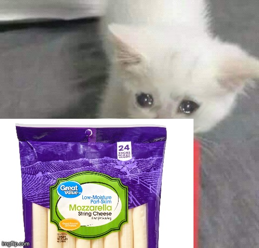 Cat last of french fries McDonalds | image tagged in cat last of french fries mcdonalds | made w/ Imgflip meme maker