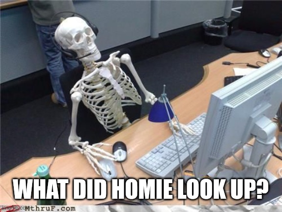 Skeleton Computer | WHAT DID HOMIE LOOK UP? | image tagged in skeleton computer | made w/ Imgflip meme maker