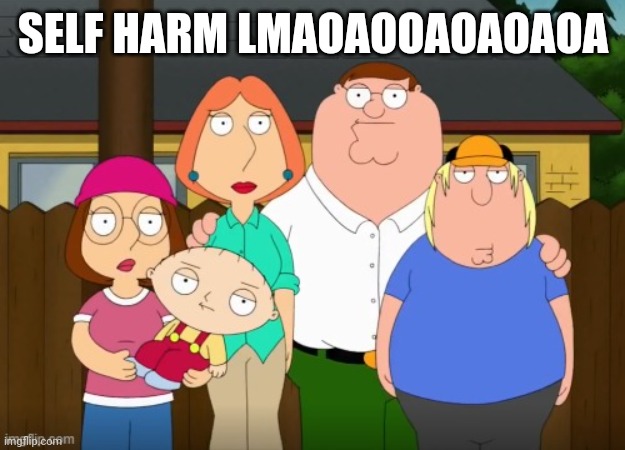 Family Guy Straight Face | SELF HARM LMAOAOOAOAOAOA | image tagged in family guy straight face | made w/ Imgflip meme maker