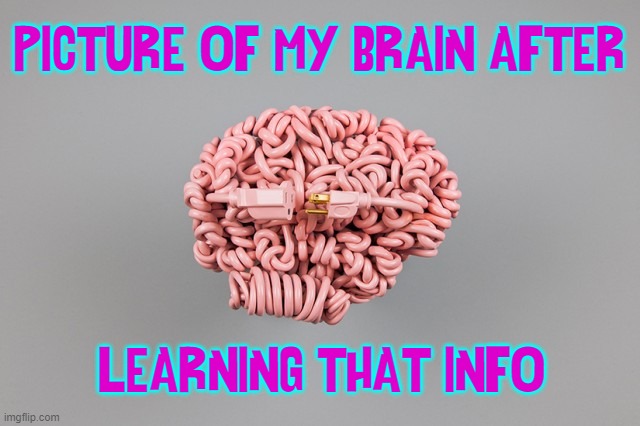 PICTURE OF MY BRAIN AFTER LEARNING THAT INFO | made w/ Imgflip meme maker