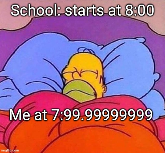 Why is it like this??? | School: starts at 8:00; Me at 7:99.99999999 | image tagged in homer simpson sleeping peacefully,memes | made w/ Imgflip meme maker