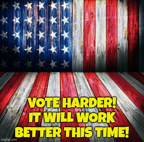 Vote harder | VOTE HARDER!
IT WILL WORK BETTER THIS TIME! | image tagged in patriot,vote,elections,democrats,republicans,voter fraud | made w/ Imgflip meme maker