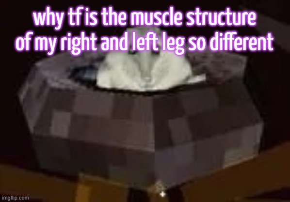 flor | why tf is the muscle structure of my right and left leg so different | image tagged in flor | made w/ Imgflip meme maker