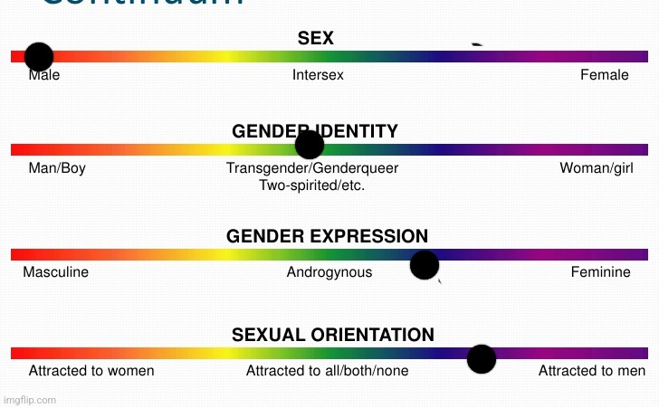 lgbtq spectrum | image tagged in lgbtq spectrum | made w/ Imgflip meme maker