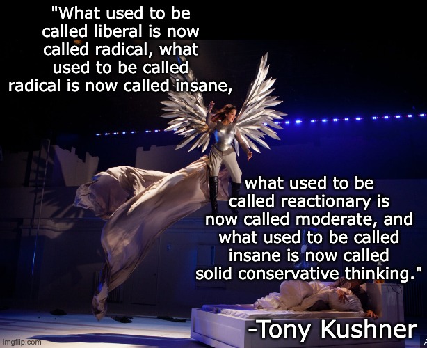 The decay of the debate | "What used to be called liberal is now called radical, what used to be called radical is now called insane, what used to be called reactionary is now called moderate, and what used to be called insane is now called solid conservative thinking."; -Tony Kushner | image tagged in politics,conservatives,liberals,language,newspeak | made w/ Imgflip meme maker