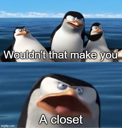 Wouldn't that make you | Wouldn't that make you A closet | image tagged in wouldn't that make you | made w/ Imgflip meme maker