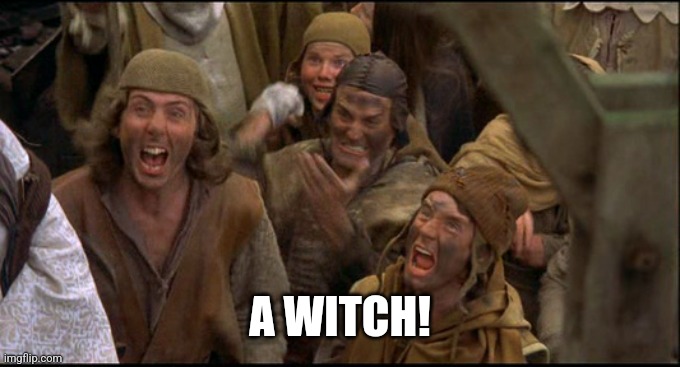 Monty Python witch | A WITCH! | image tagged in monty python witch | made w/ Imgflip meme maker