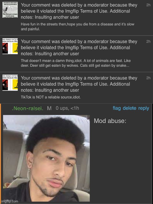 Ari is now flagging comments and posts just to seem right. | image tagged in mod abuse | made w/ Imgflip meme maker