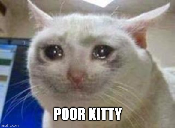 Sad cat | POOR KITTY | image tagged in sad cat | made w/ Imgflip meme maker