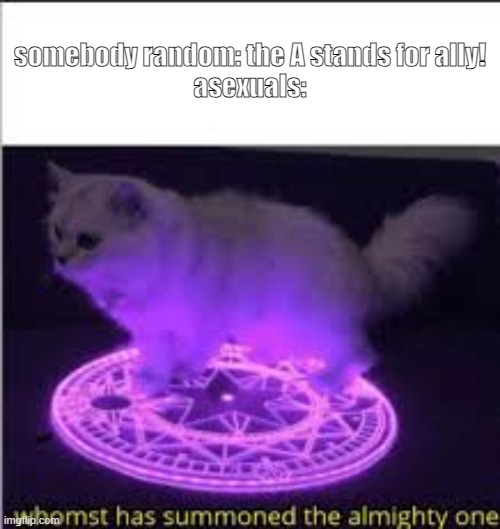 Whomst has Summoned the almighty one | somebody random: the A stands for ally!
asexuals: | image tagged in whomst has summoned the almighty one | made w/ Imgflip meme maker