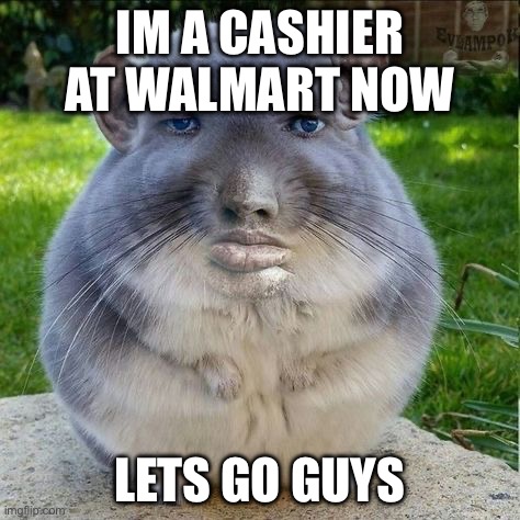 IM A CASHIER AT WALMART NOW; LETS GO GUYS | made w/ Imgflip meme maker