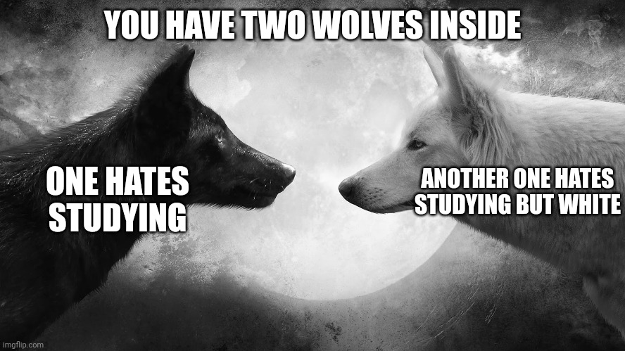 Two wolves | YOU HAVE TWO WOLVES INSIDE; ONE HATES STUDYING; ANOTHER ONE HATES STUDYING BUT WHITE | image tagged in you have two wolves,school,studying,tag,tags,ha ha tags go brr | made w/ Imgflip meme maker