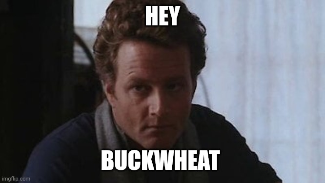 Hey Buckwheat | HEY; BUCKWHEAT | image tagged in funny memes | made w/ Imgflip meme maker