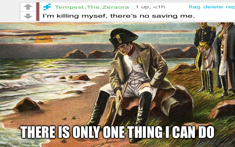 Account deletion?!?11?1?1?!1!1!!1? /j | THERE IS ONLY ONE THING I CAN DO | image tagged in napoleon | made w/ Imgflip meme maker