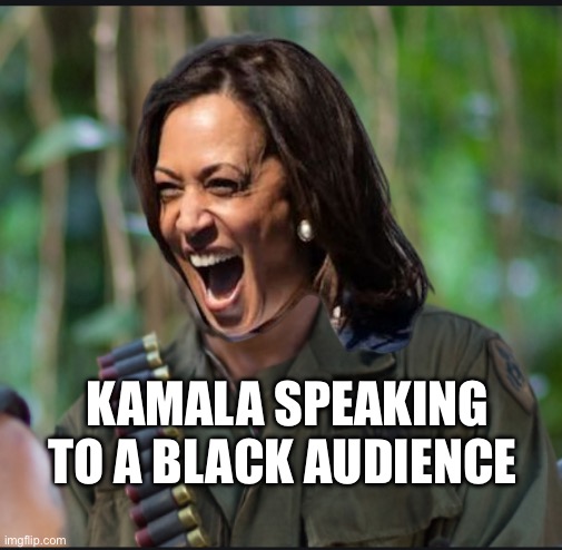 Robert downey jr | KAMALA SPEAKING TO A BLACK AUDIENCE | image tagged in robert downey jr,kamala harris,politics,political meme | made w/ Imgflip meme maker