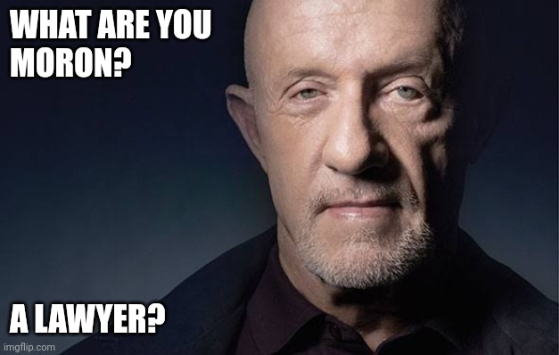 What are you? | WHAT ARE YOU
MORON? A LAWYER? | image tagged in kid named,funny memes | made w/ Imgflip meme maker