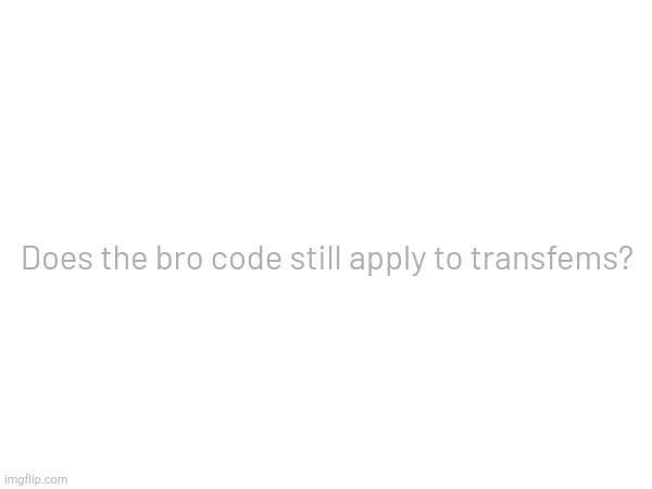 Does the bro code still apply to transfems? | made w/ Imgflip meme maker