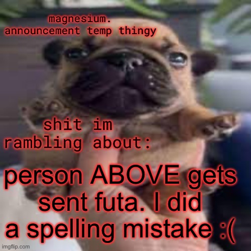 pug temp | person ABOVE gets sent futa. I did a spelling mistake :( | image tagged in pug temp | made w/ Imgflip meme maker