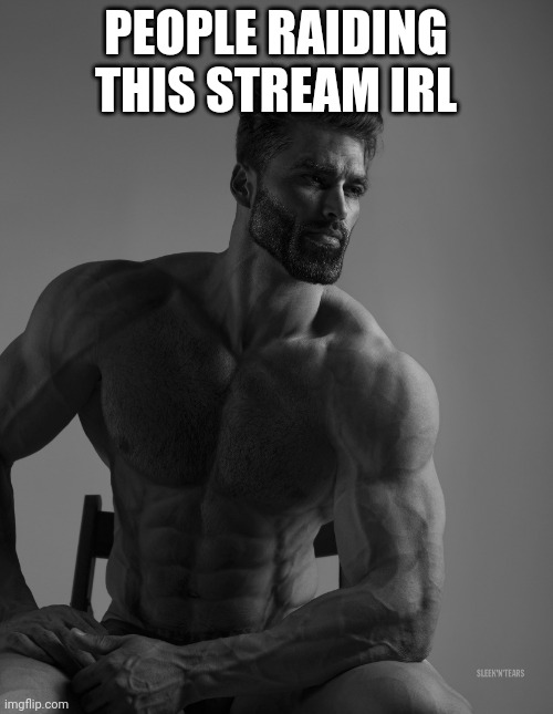 Giga Chad | PEOPLE RAIDING THIS STREAM IRL | image tagged in giga chad | made w/ Imgflip meme maker