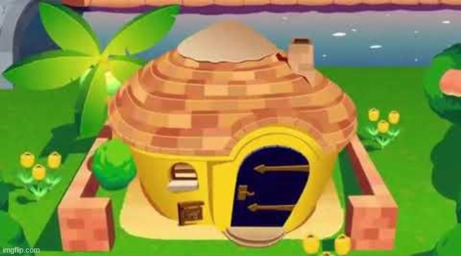 ankha zone house | image tagged in ankha zone house | made w/ Imgflip meme maker