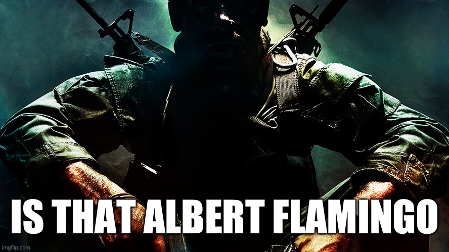 Black ops guy | IS THAT ALBERT FLAMINGO | image tagged in black ops guy | made w/ Imgflip meme maker