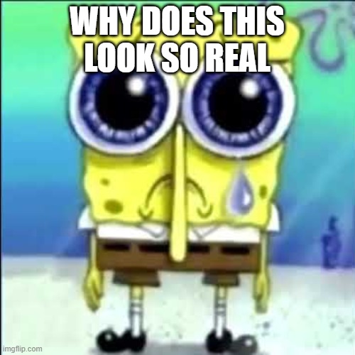 Sad Spongebob | WHY DOES THIS LOOK SO REAL | image tagged in sad spongebob | made w/ Imgflip meme maker