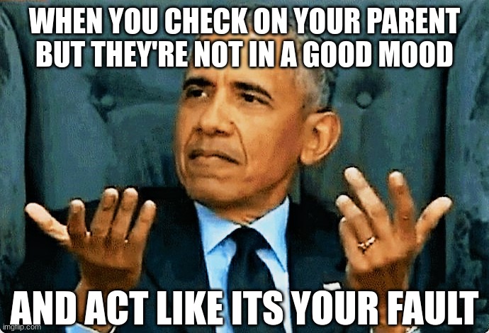 why do they do this | WHEN YOU CHECK ON YOUR PARENT BUT THEY'RE NOT IN A GOOD MOOD; AND ACT LIKE ITS YOUR FAULT | image tagged in obama so what | made w/ Imgflip meme maker
