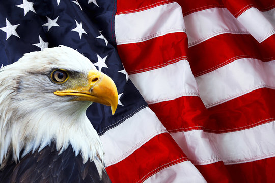 American Eagle with flag Blank Meme Template