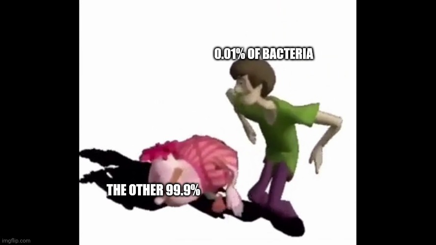 Literally | 0.01% OF BACTERIA; THE OTHER 99.9% | image tagged in do the macerena | made w/ Imgflip meme maker