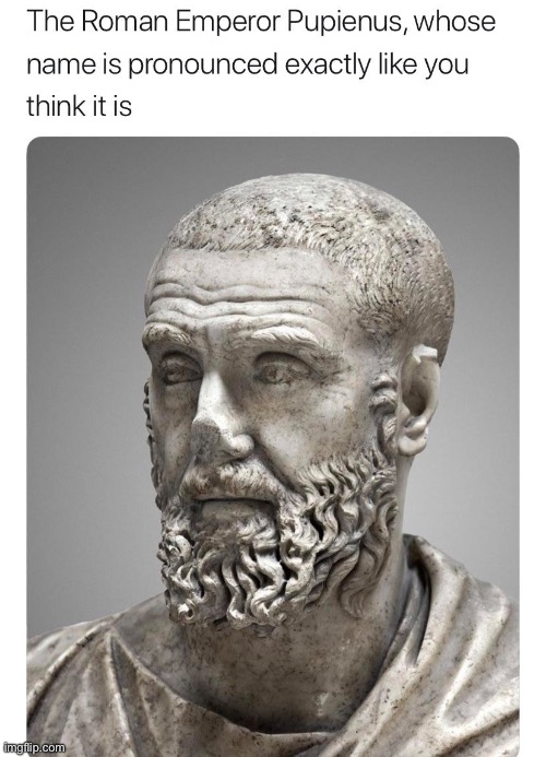 Pupienus | image tagged in rome,memes,funny names | made w/ Imgflip meme maker